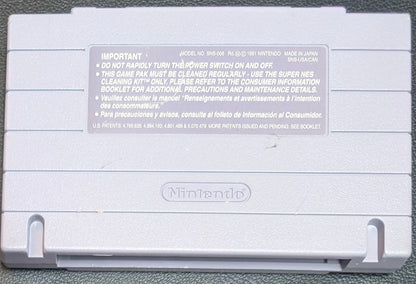 Best of the Best: Championship Karate - 1992 Super Nintendo SNES | Tested + Working | Protection Sleeve