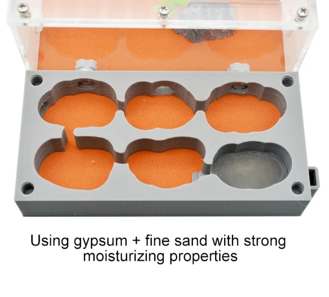 MINI DIY Nocturnal Gypsum + Fine Sand Ant Farm Build + Water Your Own Nest! (Multiple Crawl Spaces) Great Gift Limited Edition Lab Grade! A+