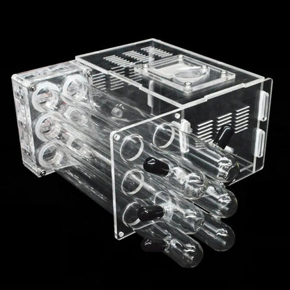 Do It Yourself Acrylic Glass Ant Farm 6 Gypsum Test Tube VILLA + Water Injection (Multiple Crawl Spaces) Great Gift Idea Limited Quantities!