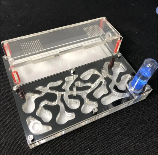 𝗗𝗜𝗬 Acrylic Ant Farm “Villa” Habitat | 9 Color Options | Expandable Multi-Chamber Ant Nest with Water Tower | Educational STEM Science Kit for Kids & Hobbyists