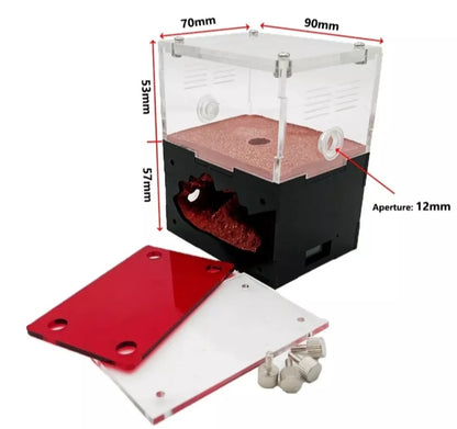 LAB GRADE Acrylic Ant Farm Build + Water Your Own Nest! 360 Degree View + MINI WATCH VIDEO