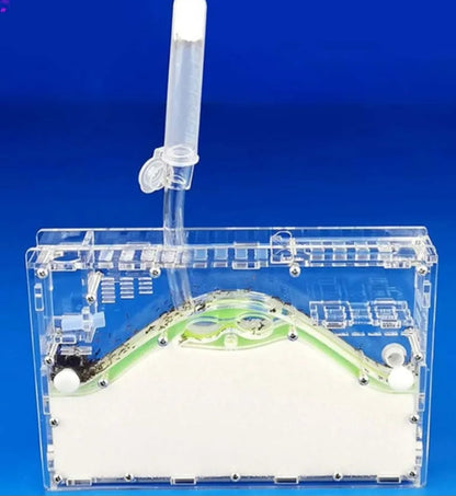 Acrylic Ant Village Build + Water Your Own Ant Farm! (Multiple Crawl Spaces) Great Gift Idea Great Quality