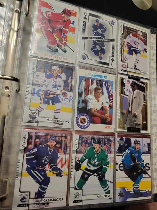 BINDER Lot Of 41 Assorted NHL MLB HOCKEY BASEBALL Cards 80s 90s Protection Since New Great Investment Opportunity