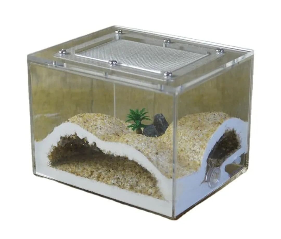 MINI DIY Acrylic 3D Plaster CUBE Ant Farm Build + Water Your Own Nest (Multiple Crawl Spaces) Great Gift Idea Limited Lab Grade + Deco Incl