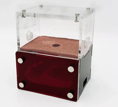 LAB GRADE Acrylic Ant Farm Build + Water Your Own Nest! 360 Degree View + MINI WATCH VIDEO