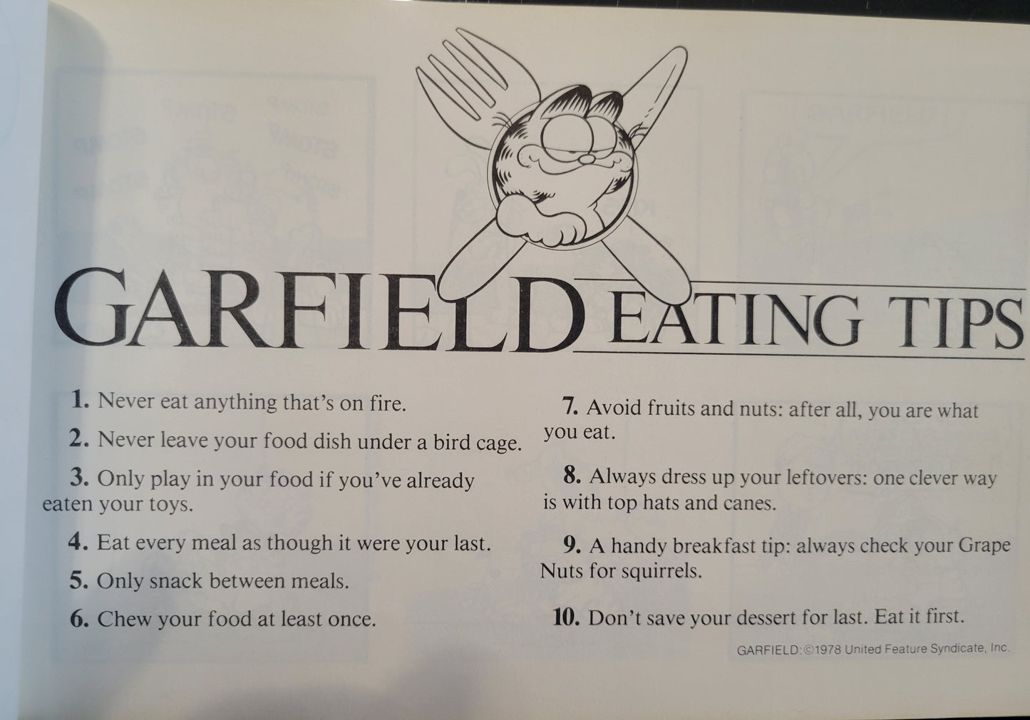 1st EDITION 1980s GARFIELD Book Club Edition: "Garfield Takes The Cake" 5th Softcover Book!