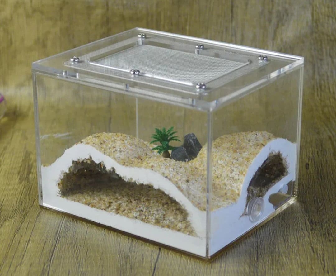 MINI DIY Acrylic 3D Plaster CUBE Ant Farm Build + Water Your Own Nest (Multiple Crawl Spaces) Great Gift Idea Limited Lab Grade + Deco Incl