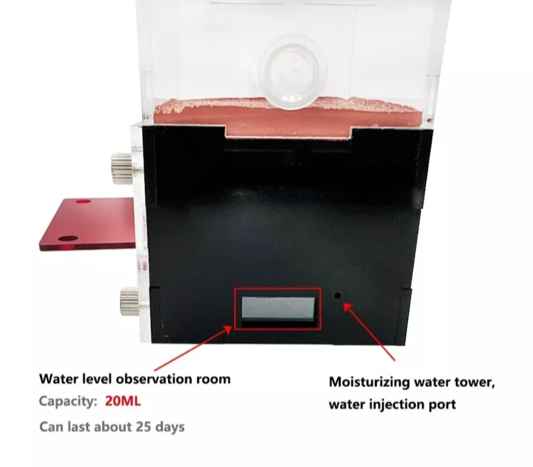 LAB GRADE Acrylic Ant Farm Build + Water Your Own Nest! 360 Degree View + MINI WATCH VIDEO