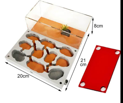 MINI DIY Nocturnal Gypsum + Fine Sand Ant Farm Build + Water Your Own Nest! (Multiple Crawl Spaces) Great Gift Limited Edition Lab Grade! A+