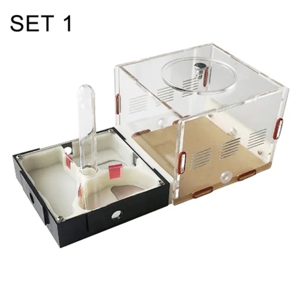 MINI Do It Yourself Acrylic UNLIMITED EXPANSION Ant Farm Build + Water Your Own Nest! (Multiple Crawl Spaces) Great Gift WATCH VIDEO