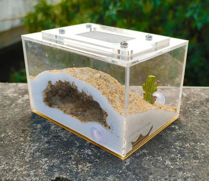 MINI DIY Acrylic 3D Plaster CUBE Ant Farm Build + Water Your Own Nest (Multiple Crawl Spaces) Great Gift Idea Limited Lab Grade + Deco Incl