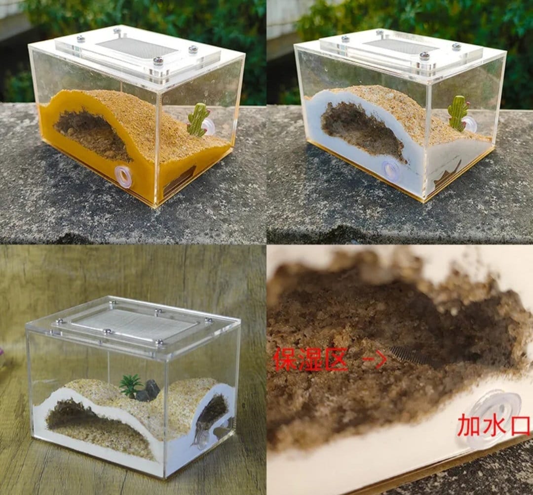 MINI DIY Acrylic 3D Plaster CUBE Ant Farm Build + Water Your Own Nest (Multiple Crawl Spaces) Great Gift Idea Limited Lab Grade + Deco Incl