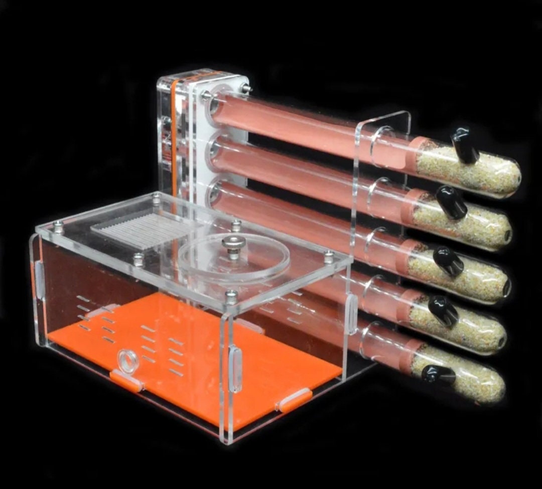 DIY Acrylic Glass Ant Farm 5 Gypsum Test Tube VILLA + Water Injection (Multiple Crawl Spaces) Great Gift Idea Limited Quantities Available