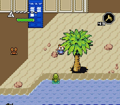 Conker's High Rule Tail - SNES - Super Nintendo Ent. System 2021 NTSC/PAL Cartridge